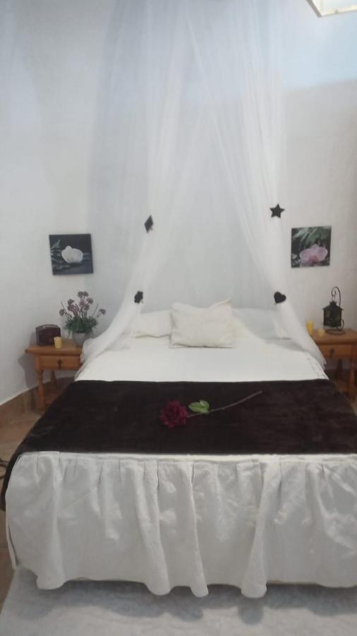 Casa Cueva Molino Holiday home *